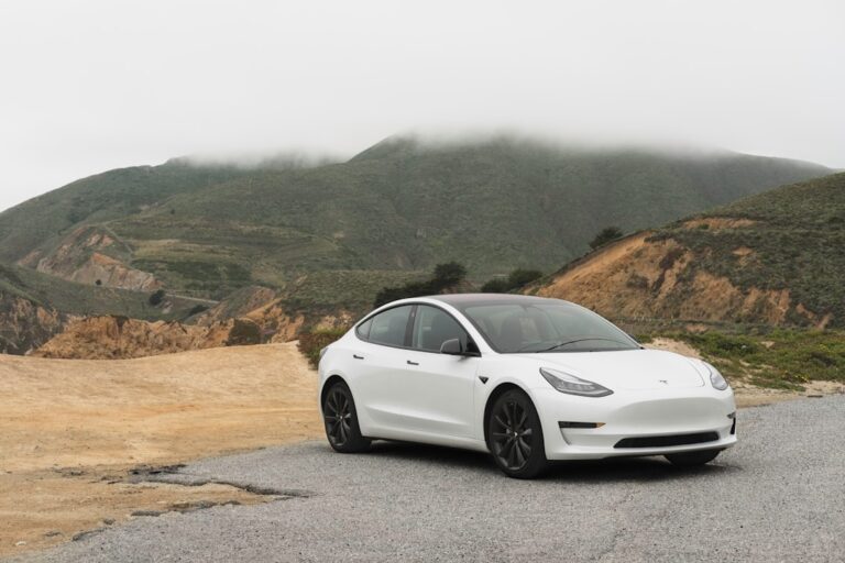 Photo Tesla stock volatility