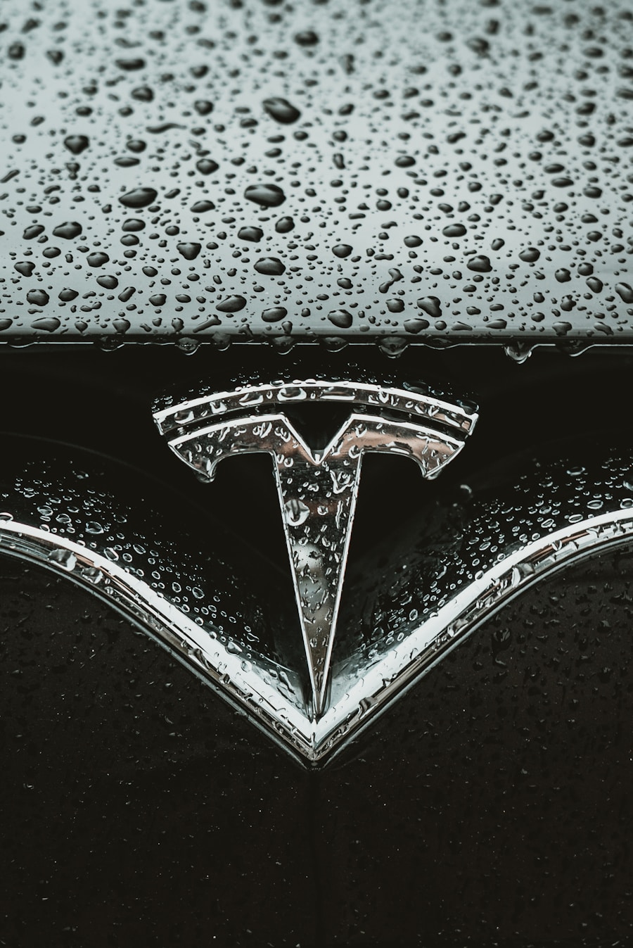 Photo Tesla Motors share price