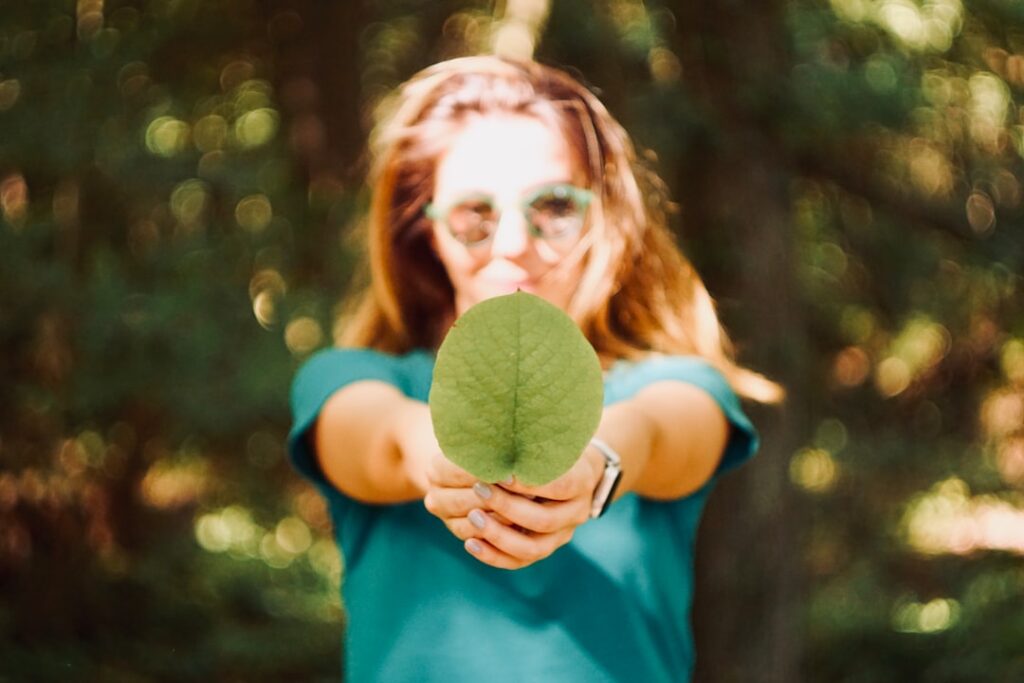 Photo Sustainability